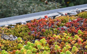 the cost of Tal Y Llyn green roof installation