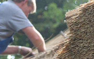 professional Tal Y Llyn thatchers