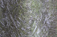 Tal Y Llyn fibreglass roof work